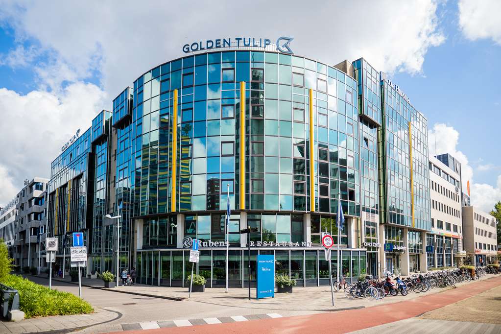 Golden Tulip